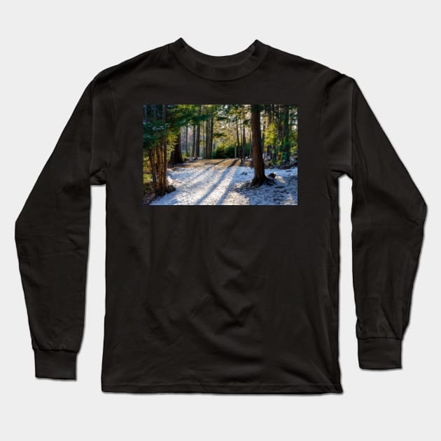 Hemlock Ravine Park 03 Long Sleeve T-Shirt by kenmo